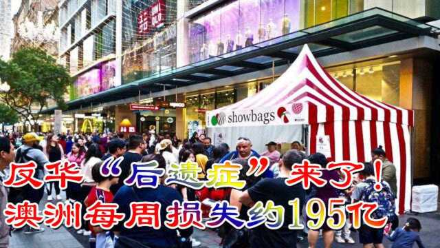 反华“后遗症”来了!澳洲每周损失约195亿,大批企业面临倒闭