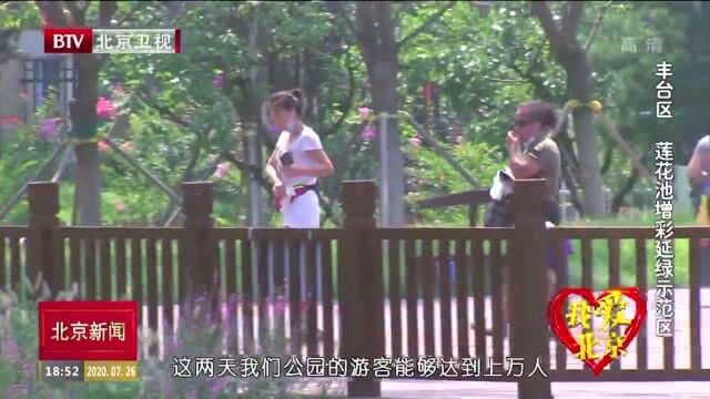 我爱北京丨丰台区莲花池增彩延绿示范区