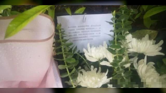 杭州杀妻男子疑再涉命案,亲友之女死亡悬案已提请警方重查