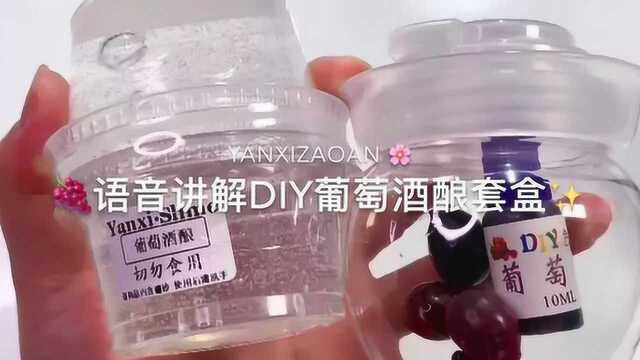 DIY葡萄酒酿套盒,质感细腻不掉渣,学生党进来