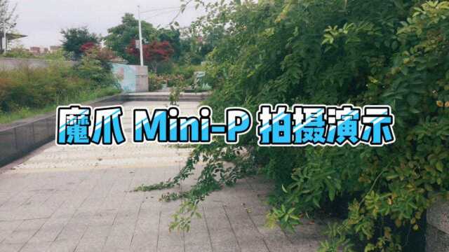 魔爪 MiniP 拍摄演示