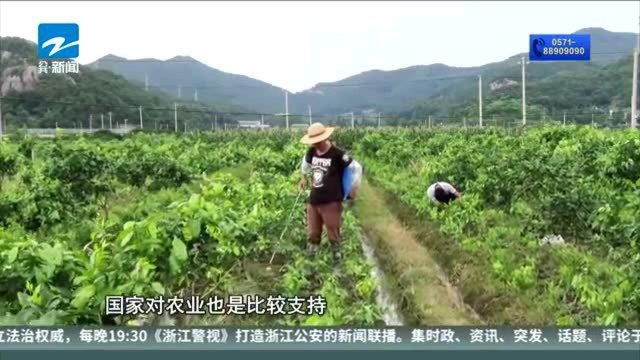 走向我们的小康生活:回乡圆“田园梦”的90后大学生胡宇航