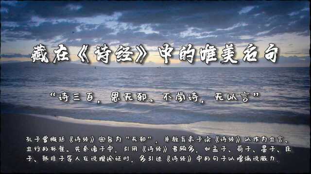 藏在诗经中唯美的句子”诗三百,思无邪.不学诗,无以言