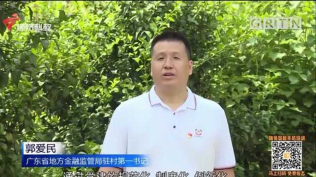 走向我们的小康生活 连州湖江村:多产业促增收 打造带不走的扶