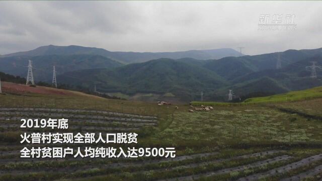 四川凉山:大山里的农业“黑科技”