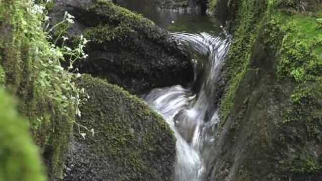 黑龙江嘉荫:茅兰沟潭水碧幽 “北方九塞沟”美不胜收