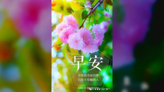 2020微信最新微信群早上好问候祝福语图片