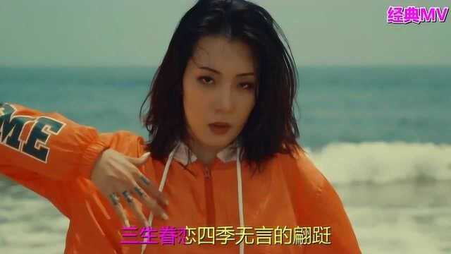 一首经典歌曲《左岸 右岸》满满的甜蜜回忆,希望可以打动你