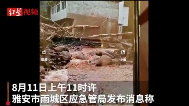 暴雨致山洪!四川雅安雨城区3人失联 正全力搜救