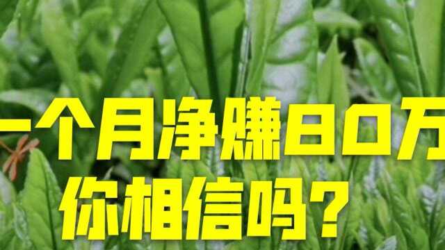 白酒免费送,一个月净赚80万!你相信吗?