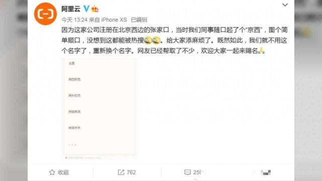 阿里京西公司被迫改名!网友积极赐名:“西京”“北西”“阿里伯伯”……