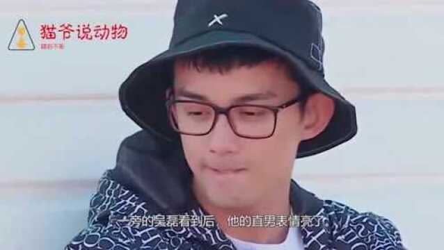 张翰被马天宇举高高拍照,撒娇大喊:别闹了!吴磊直男表情亮了