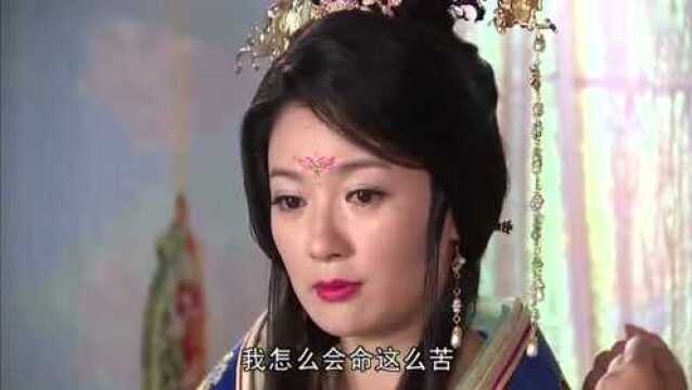 杨贵妃秘史:梅妃刚除掉武惠妃,以为熬出头,没想又来一个杨玉环