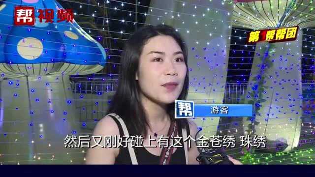 泉州市鲤城区举办非遗夜市,琳琅满目的工艺产品等你来消费!