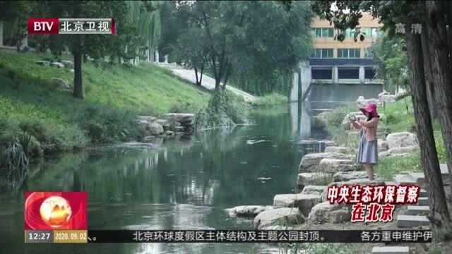 大兴新凤河变身百姓休闲“打卡”地