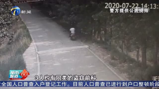 抓3人!破案10余起!武清警方打掉一犯罪团伙!