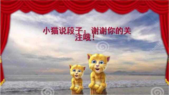 小猫讲笑话:青年半夜睡不着觉,去找禅师问话,笑了大半天!