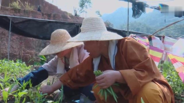 寺院里的住持也干农活?跟着师父去佛母寺菜地看看!