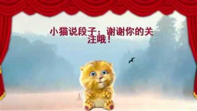 小猫讲笑话:医生看病还可以用美图秀秀,笑得肚子疼!