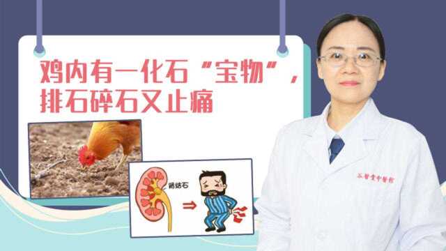 结石不用怕!鸡内有一化石“宝物”,排石碎石又止痛,结石去无踪