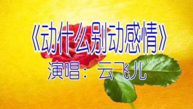 云飞儿一首《动什么别动感情》好听,伤感,催泪!