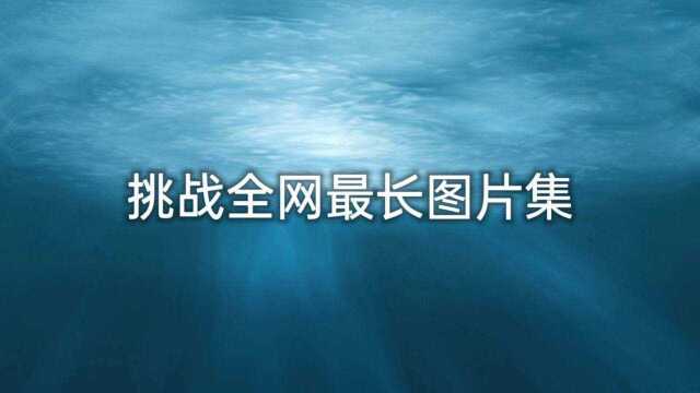 挑战全网最长图片集