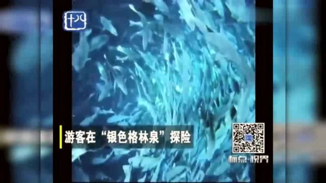 美国:游客在“银色格林泉水”探险