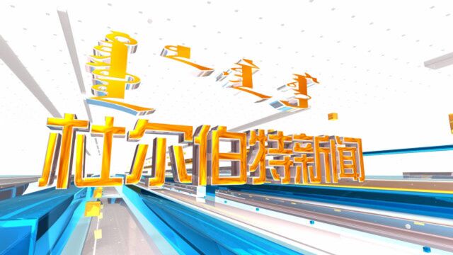 2020大庆首届电商节杜尔伯特县直播活动举行