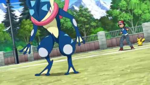 宠物小精灵：好强！好快！好帅！忍者蛙只用了一招居合斩就打倒爆破龙虾