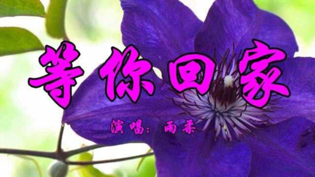 经典好歌,雨柔一首《等你回家》句句伤感,令人心碎