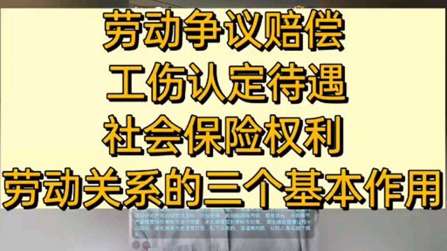 劳动关系3个作用,劳动争议赔偿,工伤待遇,社会保险权益