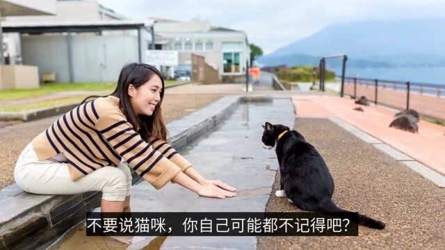 猫咪取名讲究多,别让猫名触碰这几大禁忌!