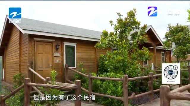 山间民宿 荷花经济 绿色产业推动大花园建设