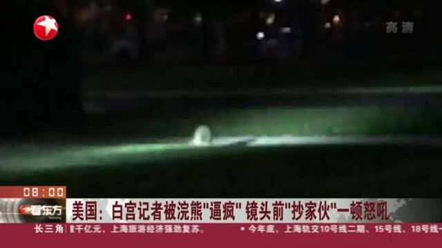 美国:白宫记者被浣熊“逼疯” 镜头前“抄家伙”一顿怒吼