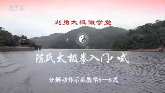 刘勇太极微学堂:陈氏太极拳入门八式(58式)