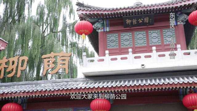 爱我东城——柳荫公园(1)