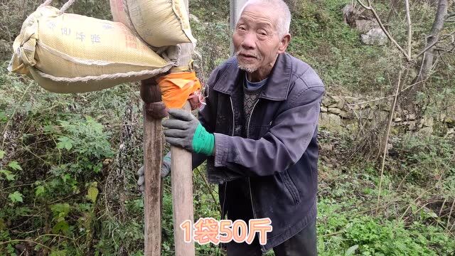 去秦岭终南山爬山寻隐,许多人爬不上去, 80岁大爷背100斤水泥山上