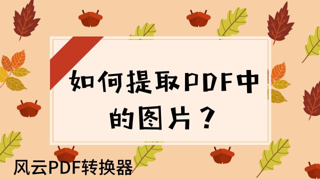 如何提取PDF中的图片?就是这么简单!