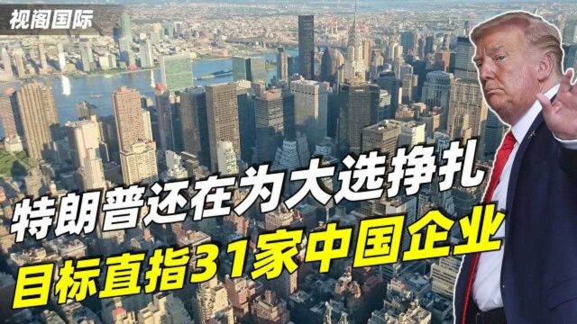 还在为总统大选挣扎?特朗普又颁布新规:目标直指31家中国企业