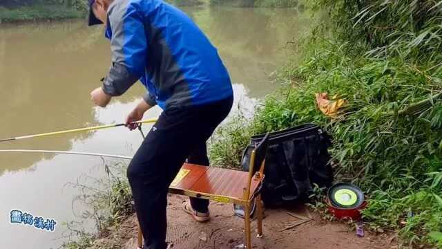 野钓小钓台安装全过程,适应复杂地形