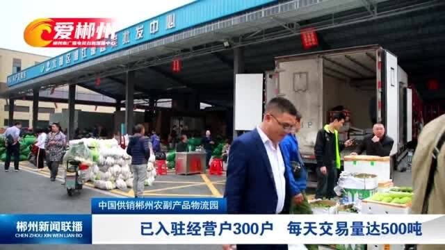 中国供销郴州农副产品物流园:已入驻经营户300户 每天交易量达500吨