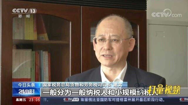 国家税务总局:今年前十月,一般纳税人月均净增8.8万户