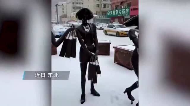 东北暴雪雕塑满脸冰柱子,网友笑称:雕塑都冷哭了