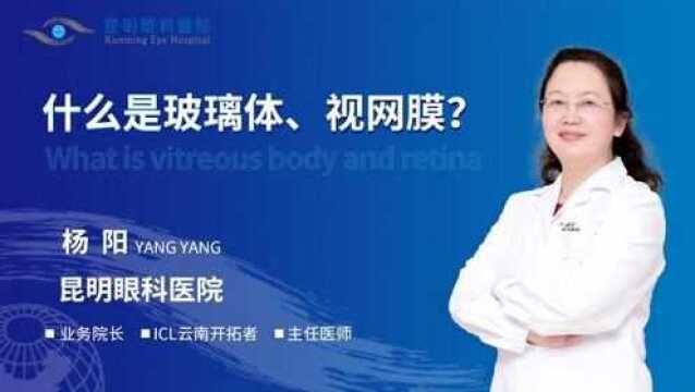 昆明眼科医院杨阳院长视网膜脱离:什么是玻璃体、视网膜