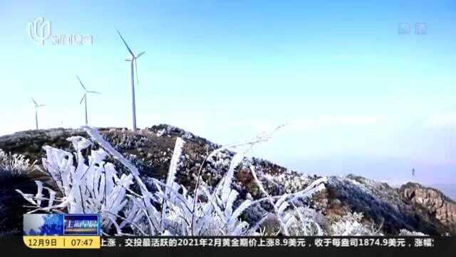 浙江临海:括苍山雾凇,冰雪世界醉人心