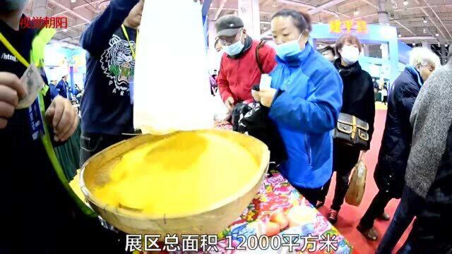 辽宁这个城市1000多种农产品亮相市场,场面火爆格外震撼