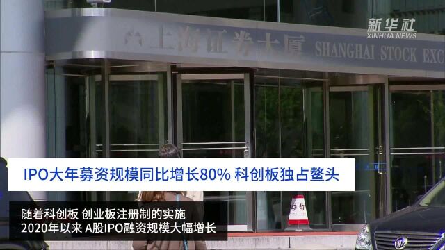 财富连线|IPO大年募资规模同比增长80%,科创板独占鳌头