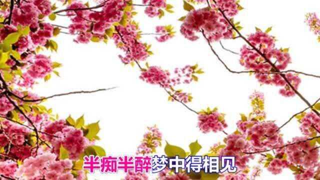 一首网络情歌《梦醉三千年》