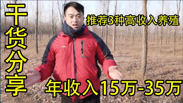 最适合农村的这3种养殖,年收入15万35万,看你适合哪一种