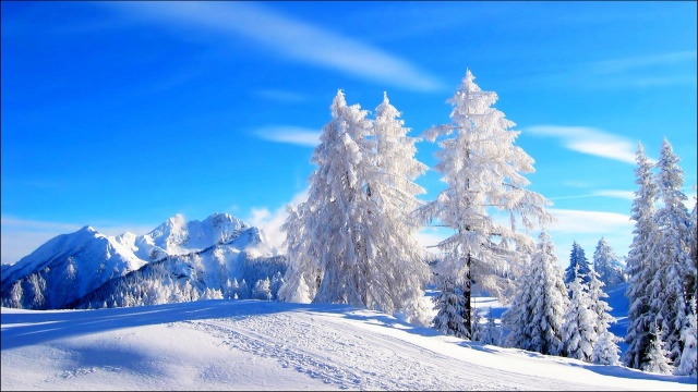 白雪茫茫,纷纷暮雪下辕门,山回路转不见君,雪上空留马行处